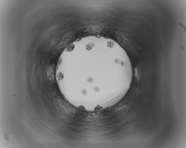 X0000100761203200807171334