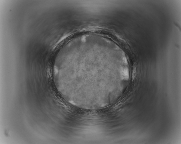 X0000100761206200807171334