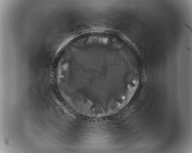 X0000100761208200807171334