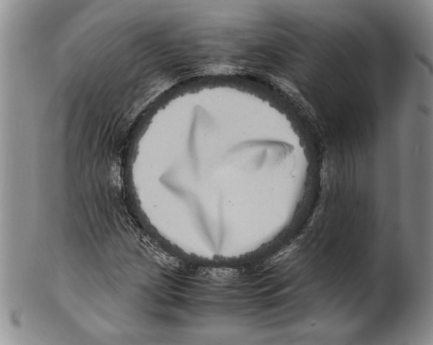 X0000100761209200807171334