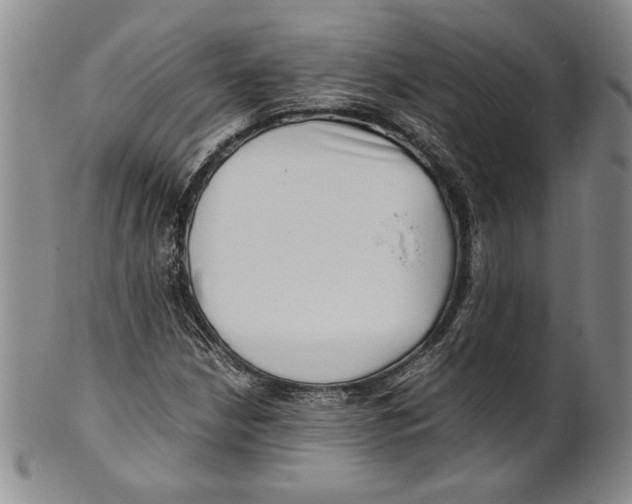 X0000100761210200807171334
