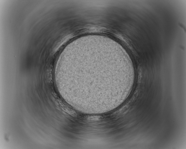 X0000100761211200807171334