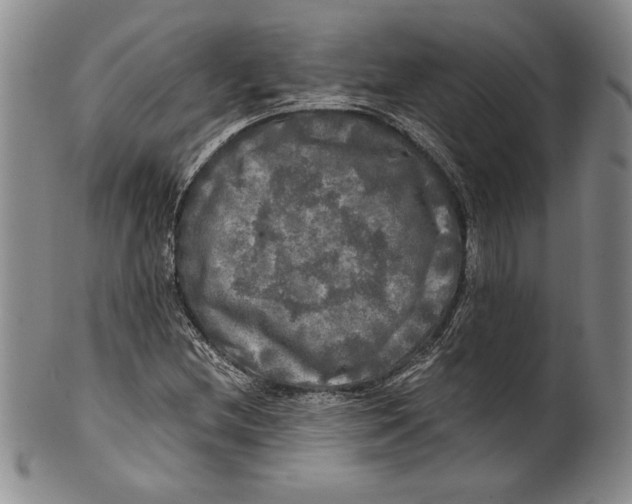 X0000100761212200807171334