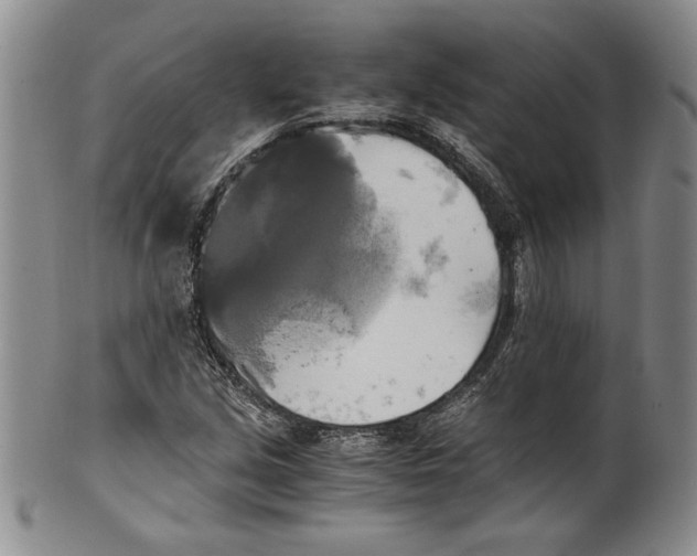 X0000100761213200807171334