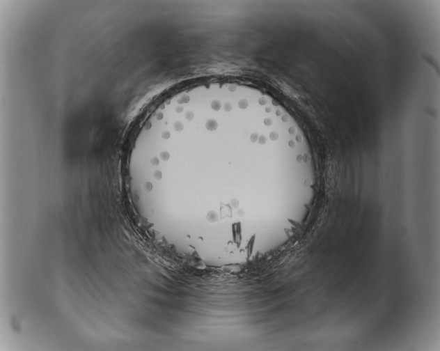 X0000100761214200807171334