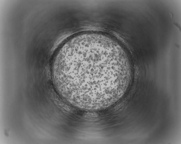 X0000100761215200807171334