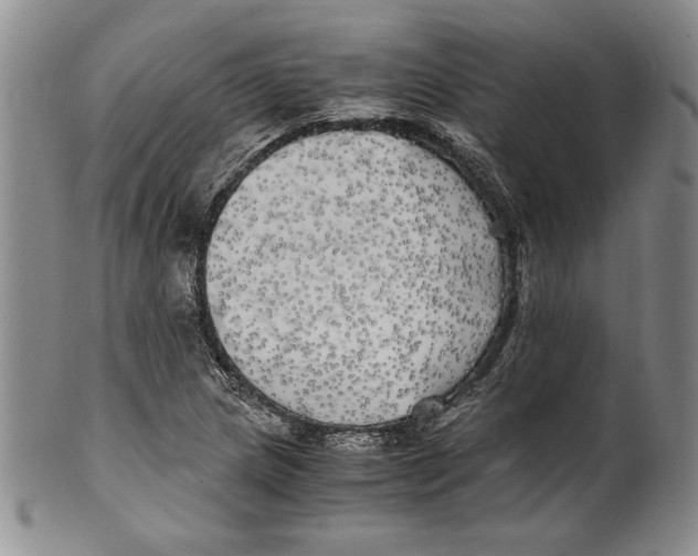 X0000100761217200807171334