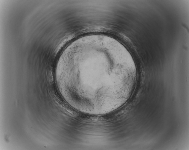 X0000100761218200807171334