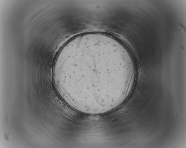 X0000100761220200807171334