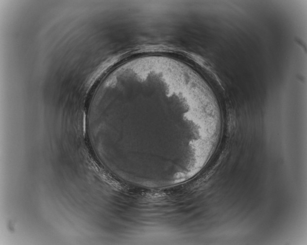 X0000100761221200807171334