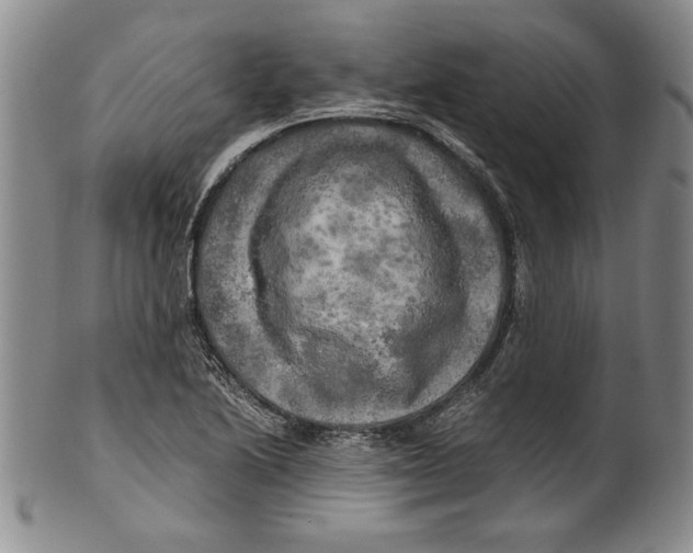X0000100761222200807171334