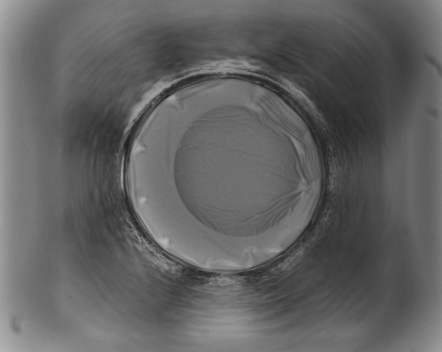 X0000100761224200807171334