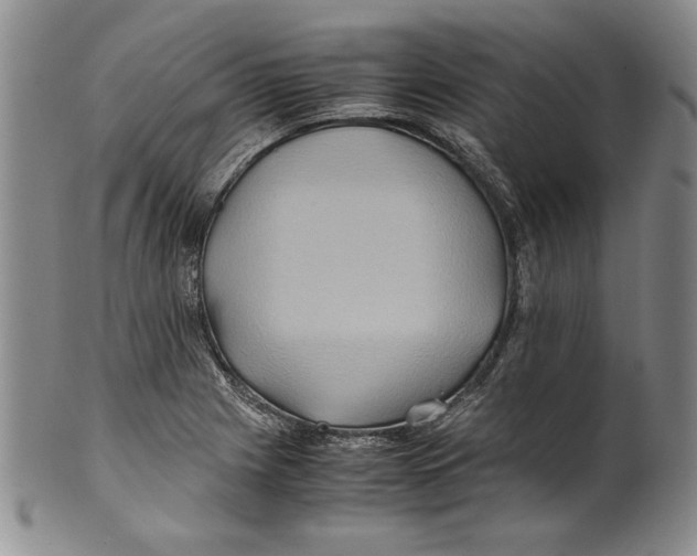 X0000100761225200807171334