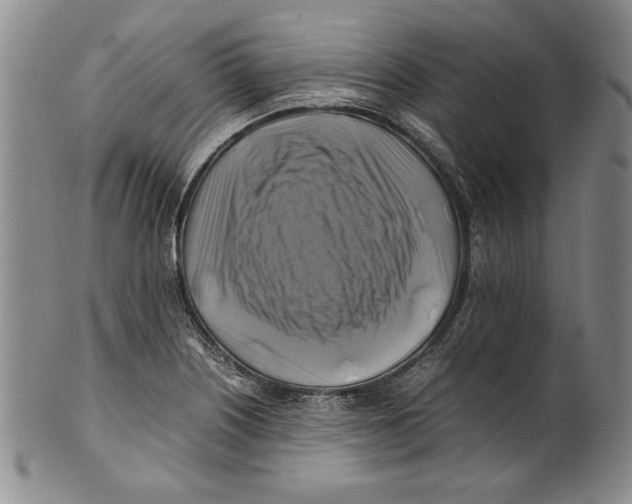 X0000100761226200807171334