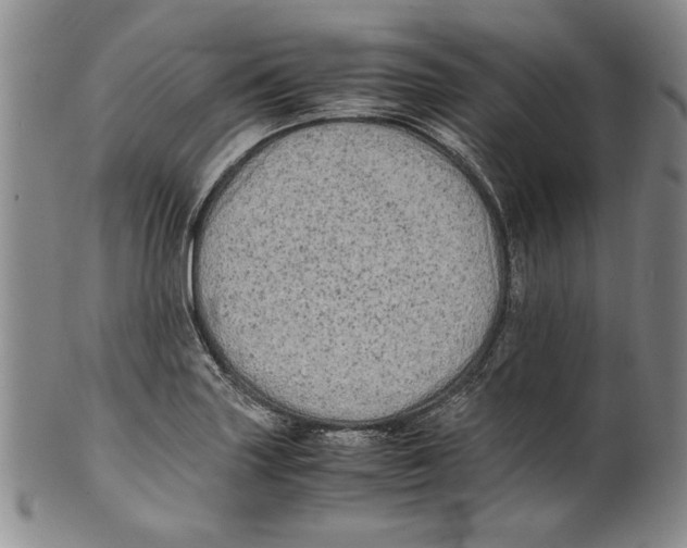 X0000100761227200807171334