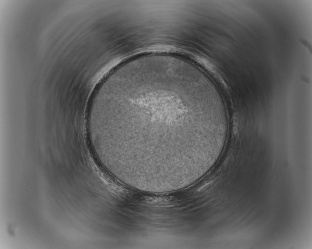 X0000100761229200807171334