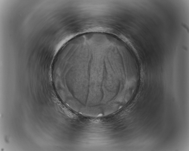 X0000100761230200807171334