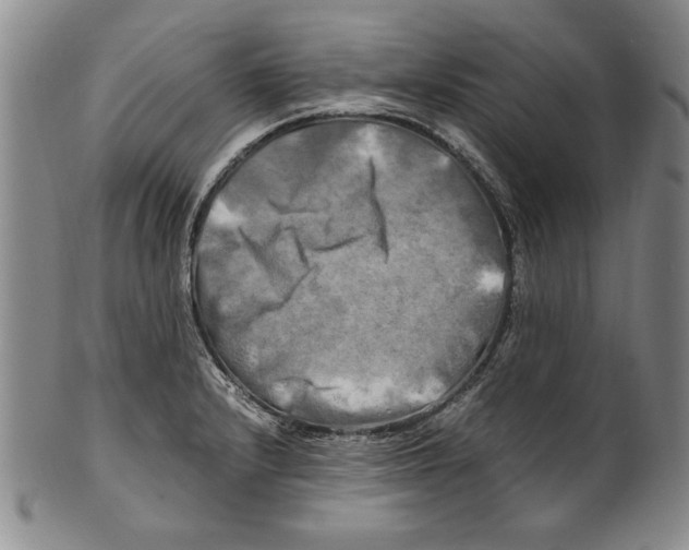 X0000100761232200807171334