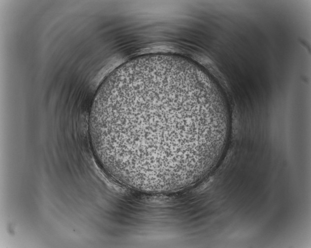 X0000100761233200807171334