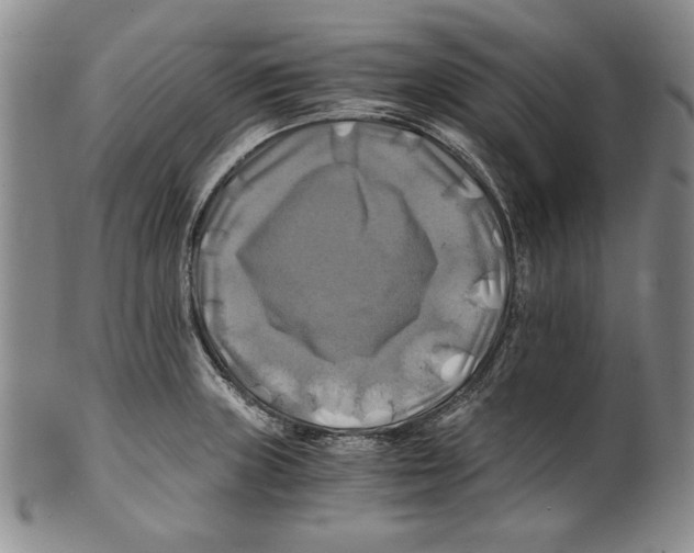 X0000100761235200807171334