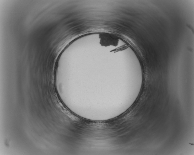 X0000100761236200807171334