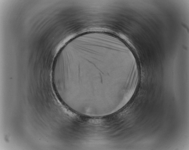 X0000100761237200807171334