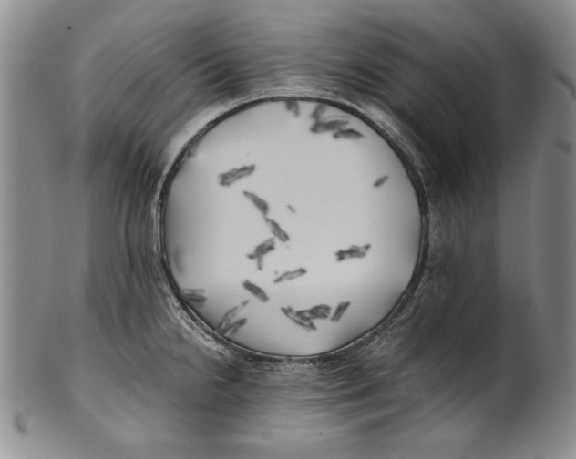 X0000100761238200807171334