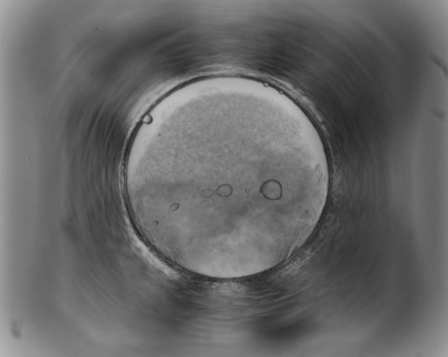 X0000100761239200807171334