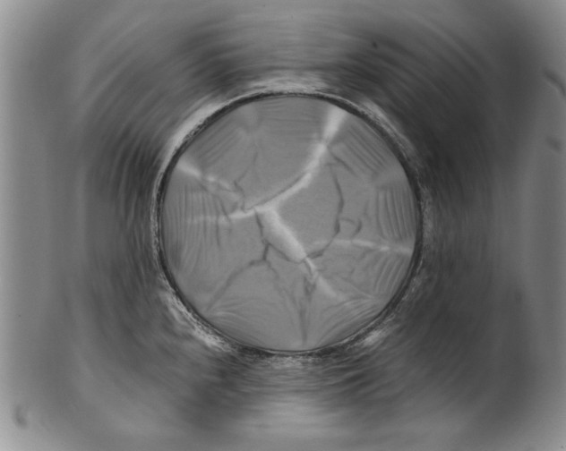 X0000100761240200807171334