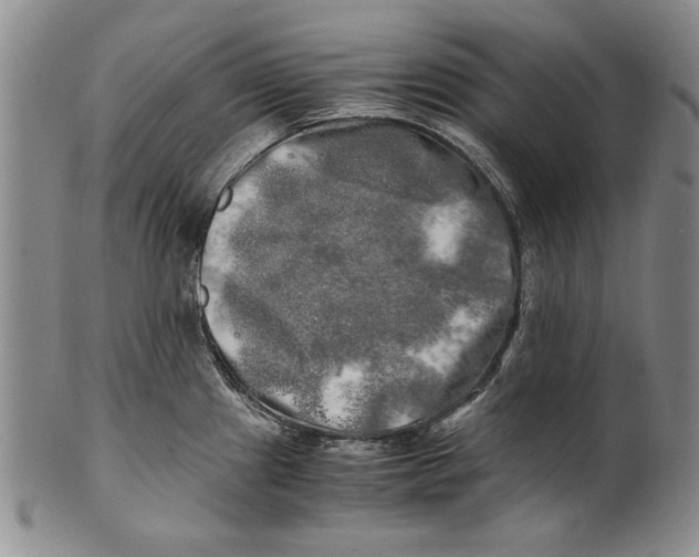 X0000100761241200807171334