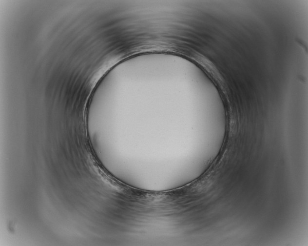 X0000100761242200807171334