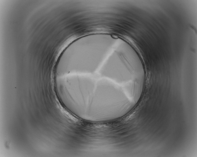 X0000100761243200807171334