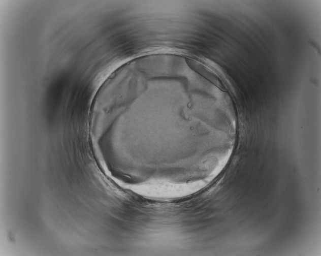 X0000100761244200807171334