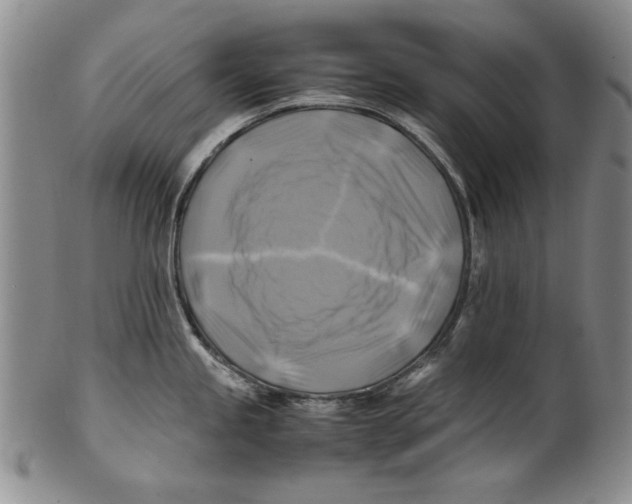 X0000100761245200807171334