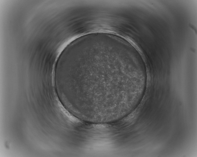X0000100761246200807171334
