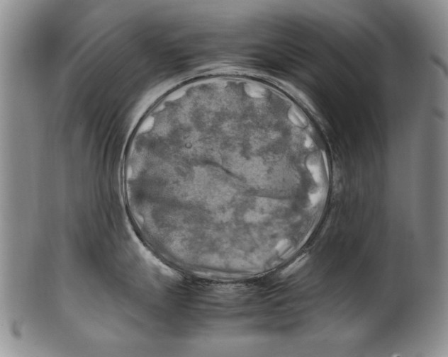 X0000100761247200807171334