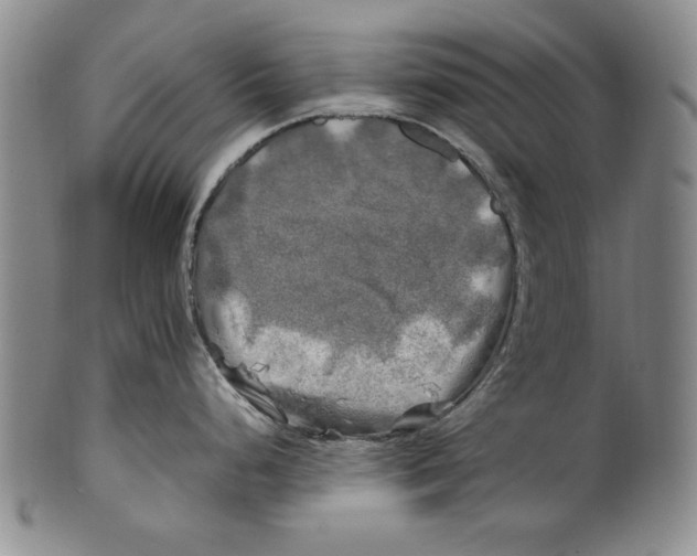 X0000100761248200807171334