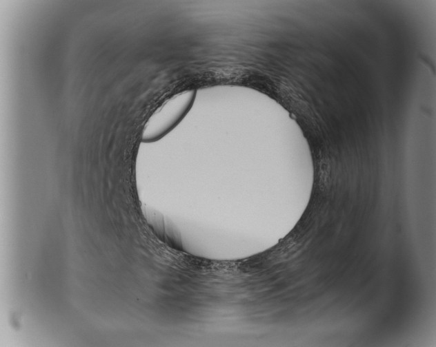 X0000100761249200807171334