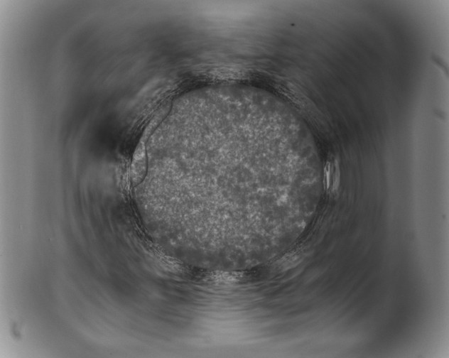X0000100761251200807171334