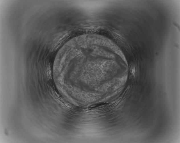 X0000100761252200807171334