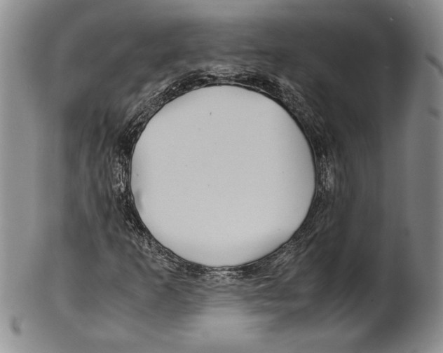 X0000100761253200807171334