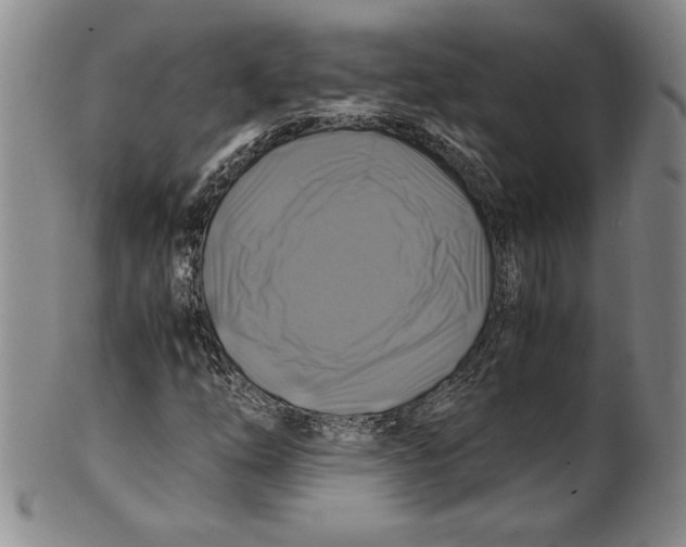 X0000100761254200807171334