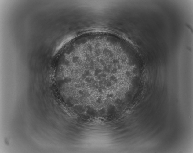 X0000100761255200807171334