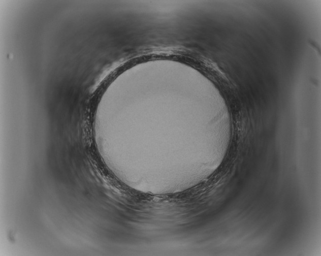 X0000100761256200807171334