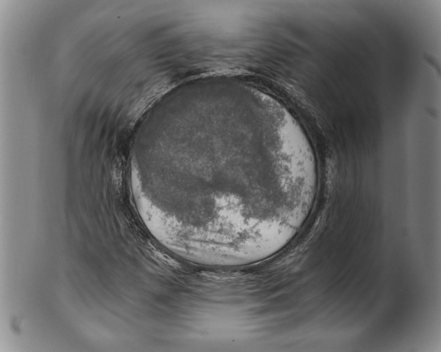 X0000100761257200807171334