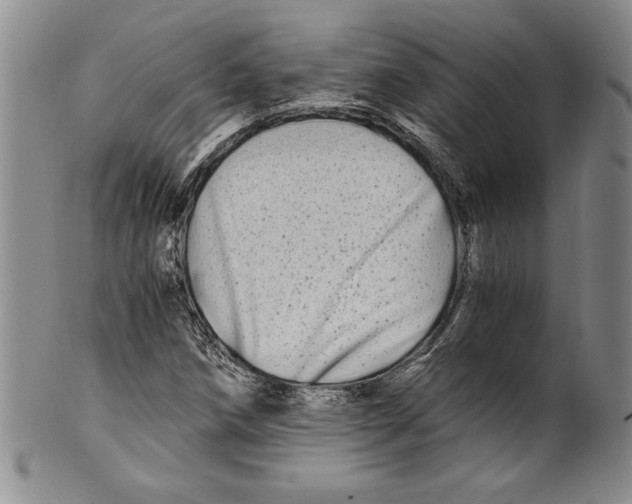 X0000100761258200807171334