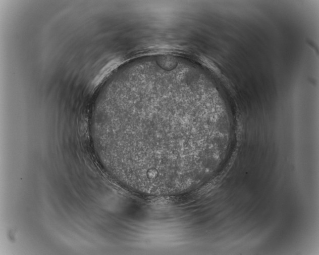 X0000100761259200807171334