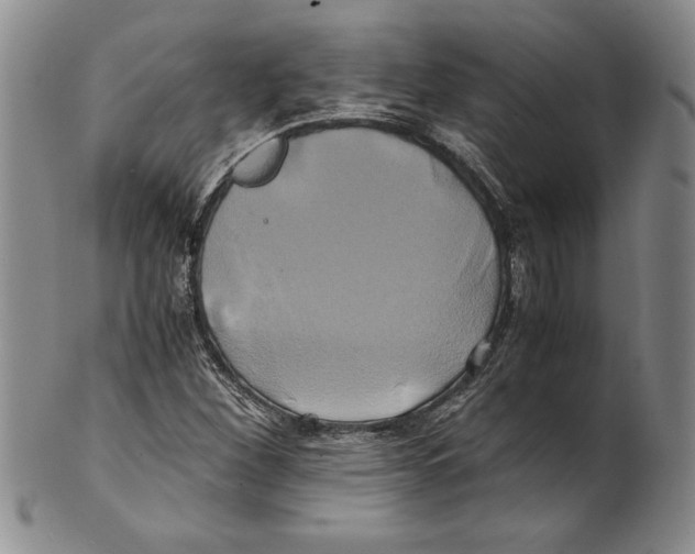 X0000100761260200807171333