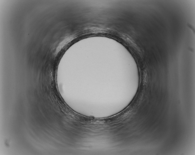 X0000100761261200807171333