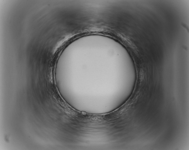 X0000100761262200807171333